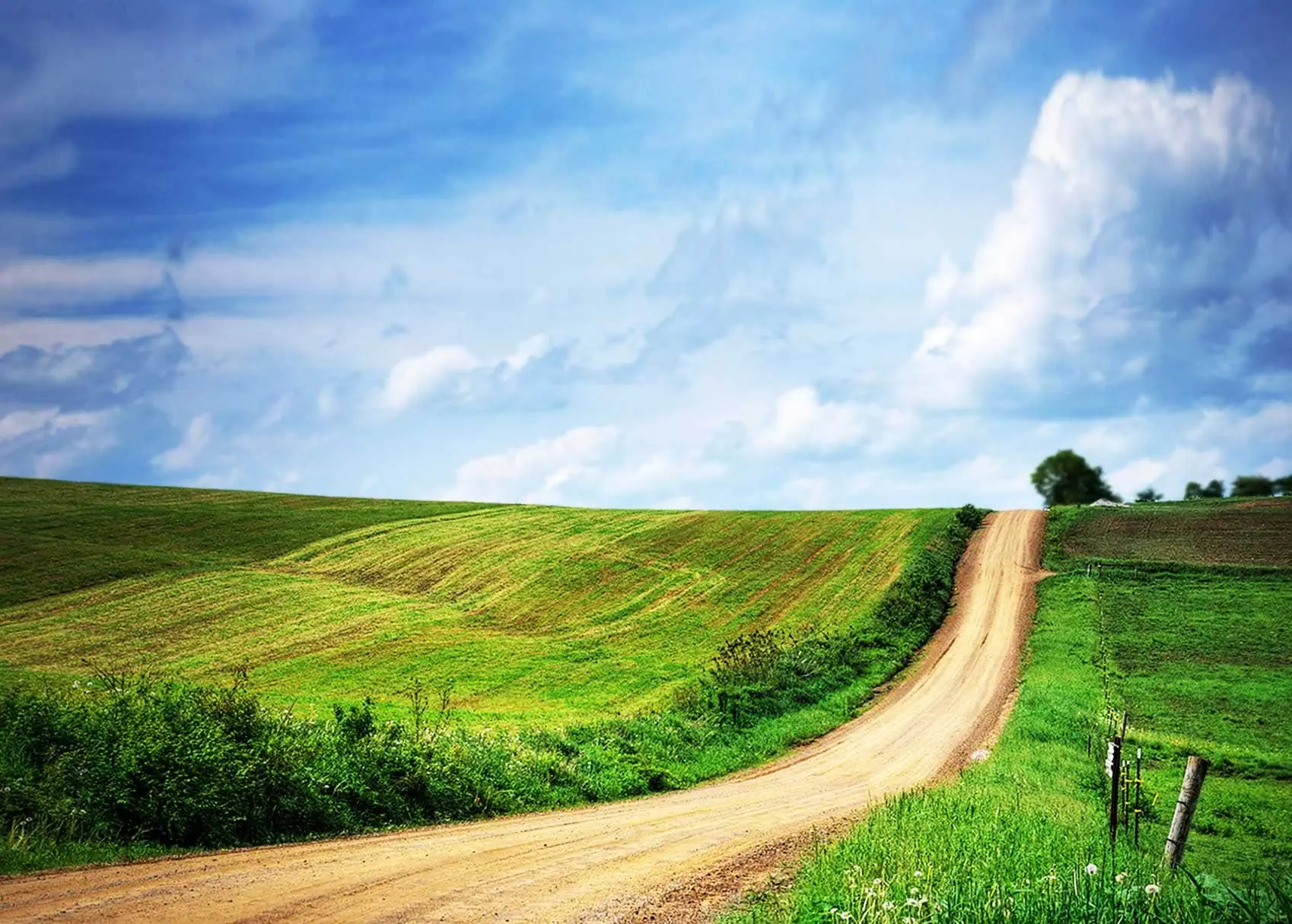 's Repose Under an Open Sky